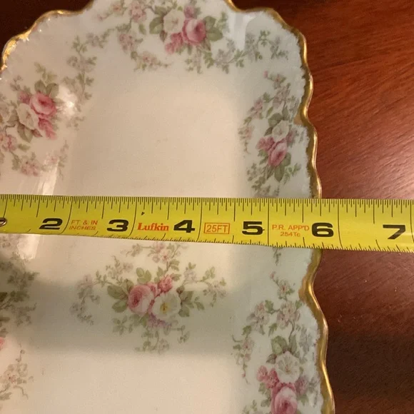 Vintage Limoges France celery platter dish